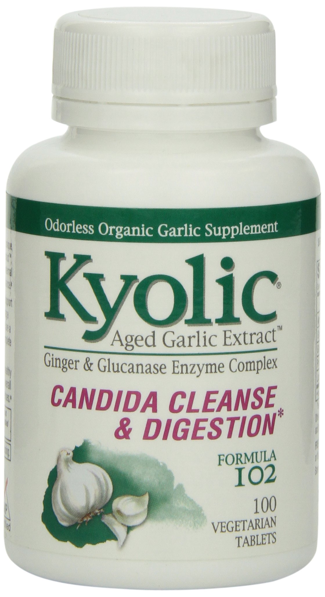 Kyolic Formula 101 Aged Garlic Extract Stress and Fatigue