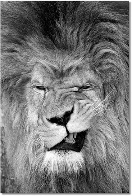 Carteles e impresiones en blanco y negro imagen de arte de pared de