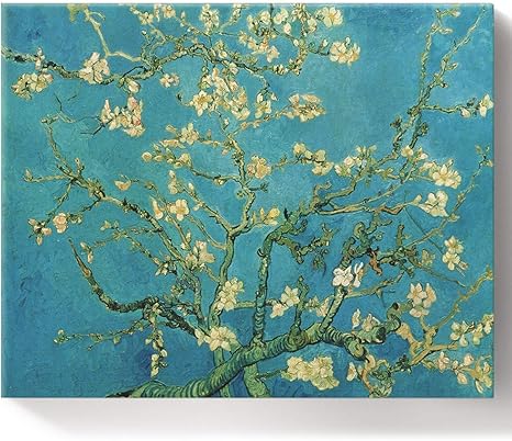 amazon paint by numbers van gogh