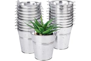 Biugaaufai 22 Pack 4" Mini Metal Bucket, Elegant Galvanized Buckets with Handles, Tin Buckets, Small Iron Bucket, Mini Metal Pail for Party Favors, Crafts, Garden & Beach