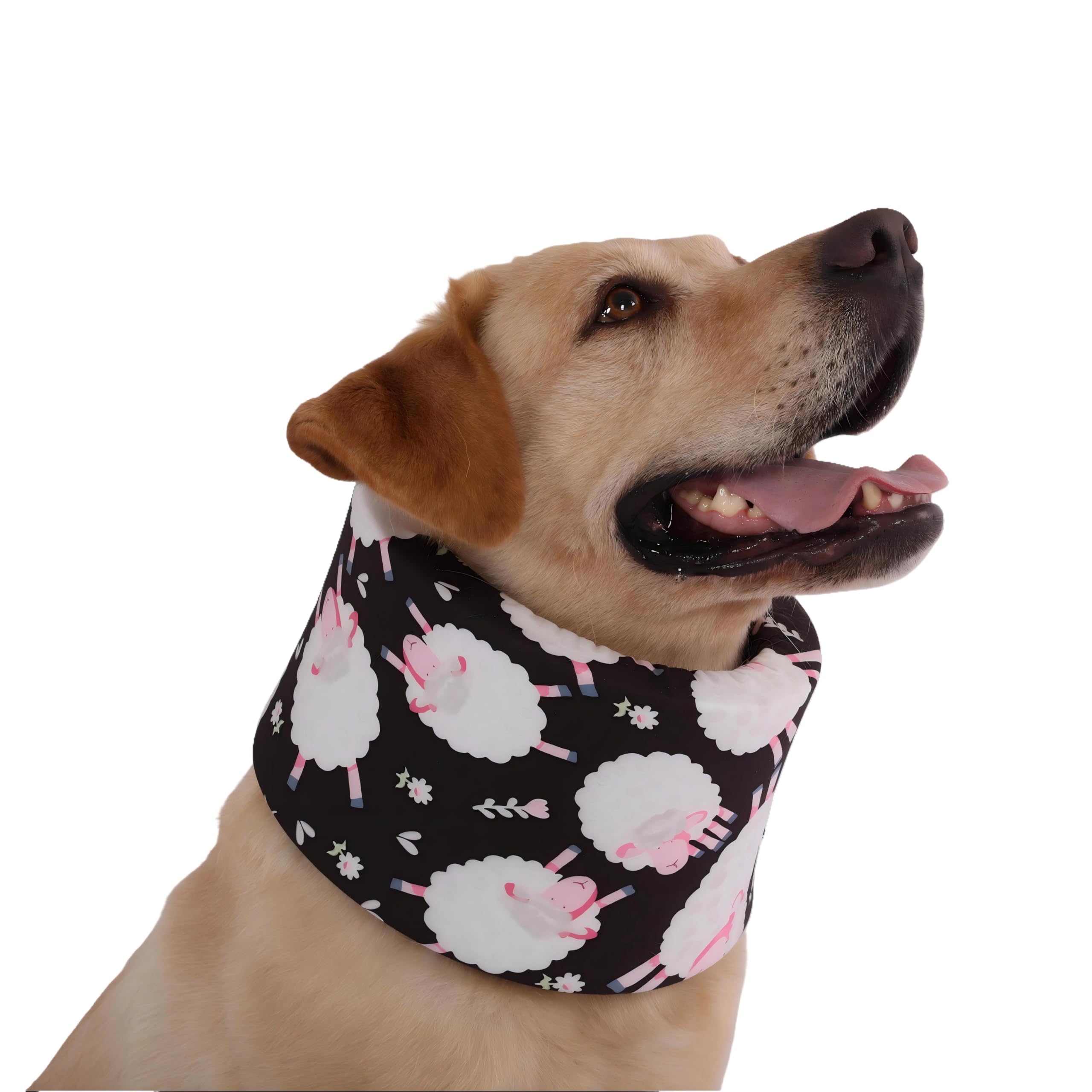 Photo 1 of LovinPet Dog Recovery Collar, Adjustable Soft Cone for Medium & Large Dogs, Post-Surgery Comfort & Lick Prevention, Sheep Print,Black
