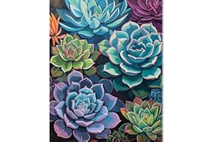 Natuyalo Paint by Numbers for Adults Beginner, Succulent Plants Acrylic Easy Paint by Numbers Kits Garden Landscape Craft Kits for Adults Suitable for Home Wall Decoration Flameless 16x20 Inch