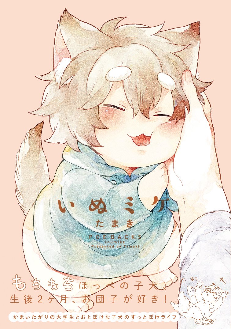 いぬミケ Be Comics たまき 本 通販 Amazon