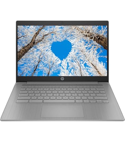 Amazon.com: ASUS Chromebook C423N Clamshell Laptop, 14