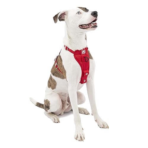 Kurgo Tru-Fit Enhanced Strength Dog Harness Certified Crash