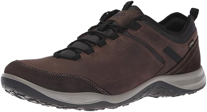 ecco men's espinho gtx hiking