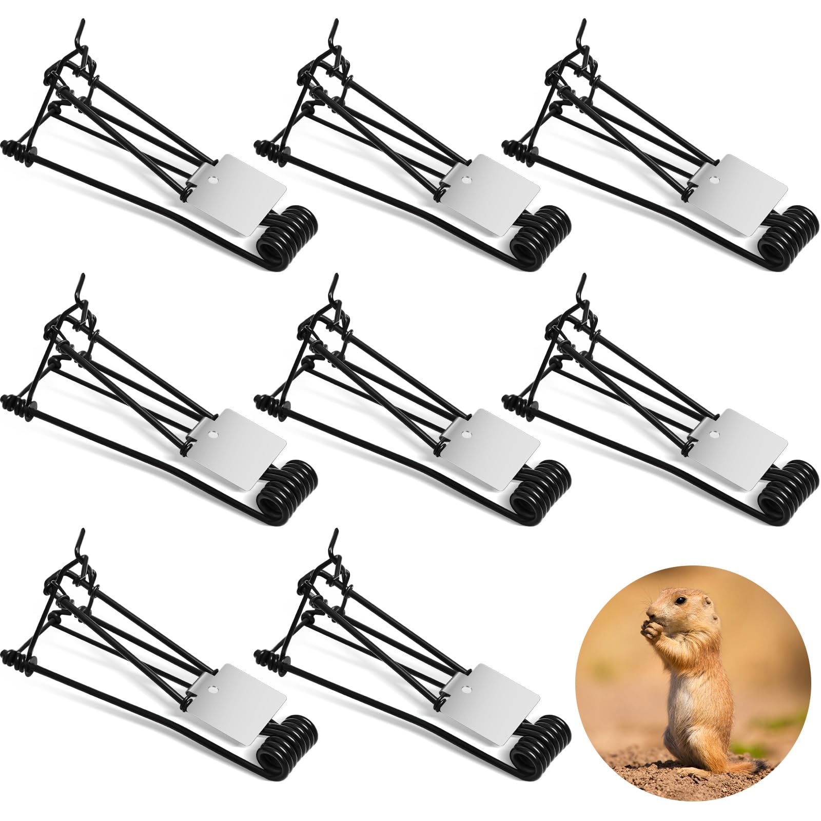 Photo 1 of Qualirey 8 Pcs Outdoor Gopher Trap Easy Set Mole Trap Weather Resistant Gopher Killer Vole Killer for Lawn Garden Farm (Black)