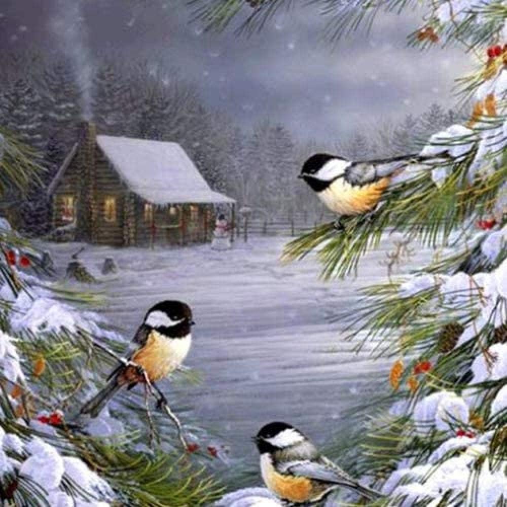 Amazon.com: Diamond Art, Diamond Painting Kits for Adults, DIY 5D