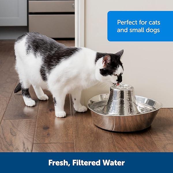PETSAFE SEASIDE PET WATER FOUNTAIN (60 OZ/1.8L WATER CAPACITY) STAINLESS STEEL CAT WATER FOUNTAIN, HELPS PREVENT PET ACNE, SCRATCH AND RUST-RESISTANT MATERIAL