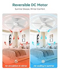 AQUBT Ceiling Fans with Lights, 42 inch Ceiling