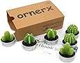 ornerx Decorative Cactus Candles Tea Light Candles 6 Pcs