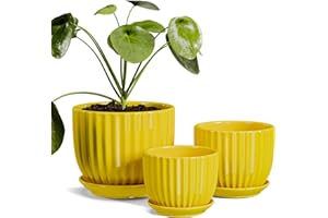 Ton Sin Ceramic Flower Pots,Yellow Plant Pots for Indoor Plants,4.1+5.1+6.5 inch Ceramic Plant Pots with Tray,Medium Indoor Planters for Aloe Cactus Decorative Pots with Drainage Hole (Set of 3)