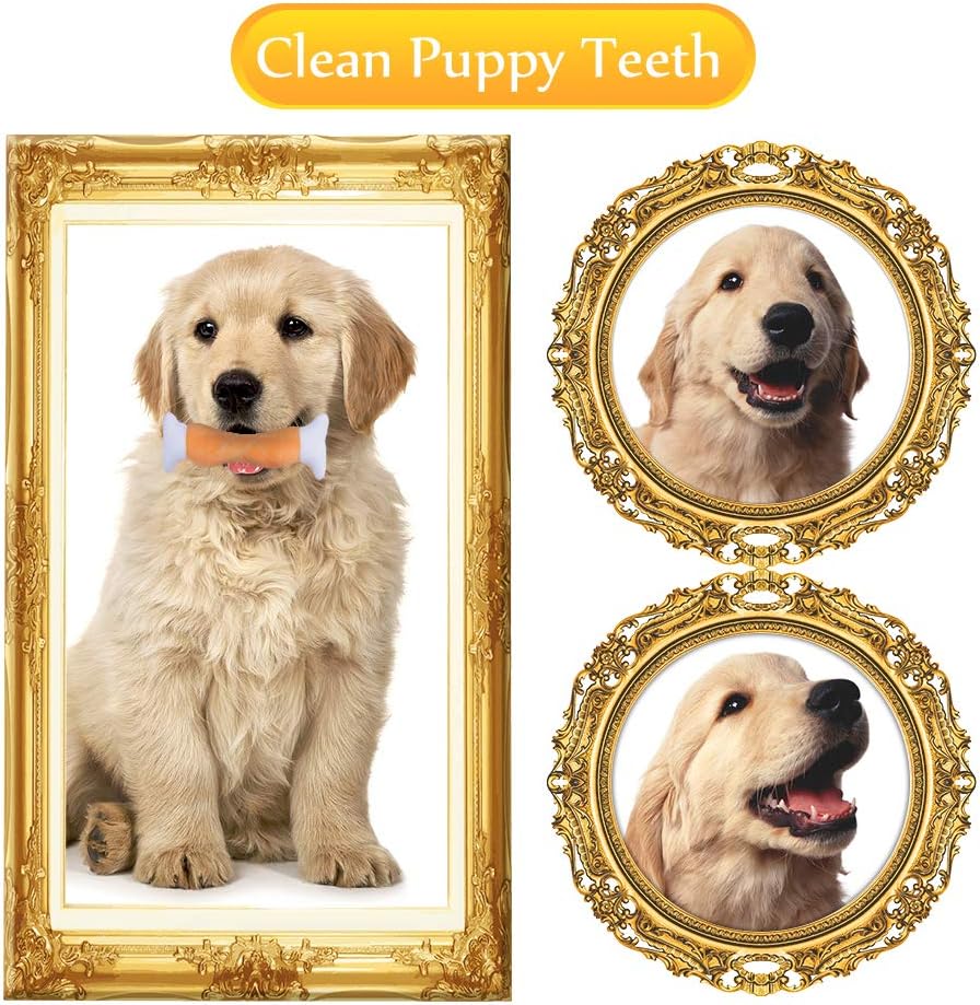 Kitchen & Dining : Oziral Puppy Toys, [7 Pack] Braided Small Dog Toys Set, Cute Duck Plush Squeaky Toys for Puppies Teeth Cleaning, 100% Natural Cotton Interactive Ropes Chew Toys for Puppy Playing, Non-Toxic and Safe : 