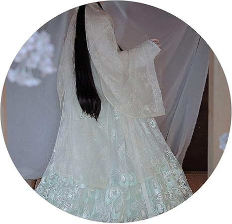 Amazon Co Jp キラキラクマ 漢服女性大人の衣装qiチェストスカート中国風のスーパー妖精ビッグスリーブシャツ9曲の尾の漢服夏 ワンピースシャツ M ホビー 通販