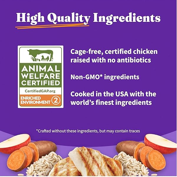 HALO HOLISTIC PUPPY FOOD, CAGE FREE CHICKEN & BROWN RICE RECIPE, HEALTHY GRAINS DRY DOG FOOD, COMPLETE DIGESTIVE HEALTH, 3.5 LB BAG