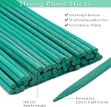 KINGLAKE 60cm Bamboo Plant Support Sticks 30Pcs with Twist Ties view 3