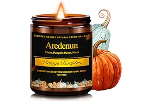 AREDENUA Fall Candles - Vintage Pumpkin Candle | Holiday Candles Pumpkin Scented, 7oz Autumn Soy Candle for Home Scented, 50 Hours Burn Time, Fall & Winter/Thanksgiving/Christmas Gifts for Women Men