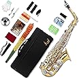 SLADE Alto Saxophone Eb Alto Saxophone for Beginner Students, Gold & Silver, WSS948