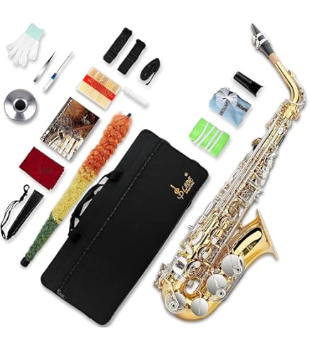 Amazon.com: SLADE Alto Saxophone Eb Alto Saxophone for Beginner