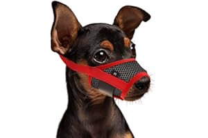 WLLHYF Dog Muzzle Soft Nylon Muzzle Breathable Pets Muzzle Anti Barking Biting and Chewing Comfortable Mesh Soft Fabric Muzzle Adjustable Strap for Small Dogs (Red)