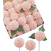 Ling's moment Blush Dahlia Foam Artificial Flowers Real Touch Faux Fake Flower for Home Decor Graduation Baby Shower Decorations Outdoors Party Favors Wedding Gifts Centerpieces Arrangements 25pcs