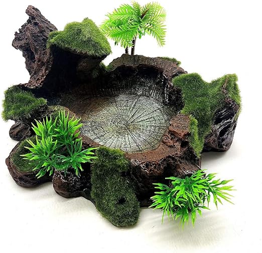 lizard tank accessories