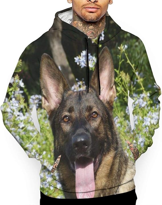 german shepherd in a sweater