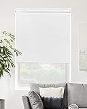 CHICOLOGY Roller Window Shades , Window Blinds