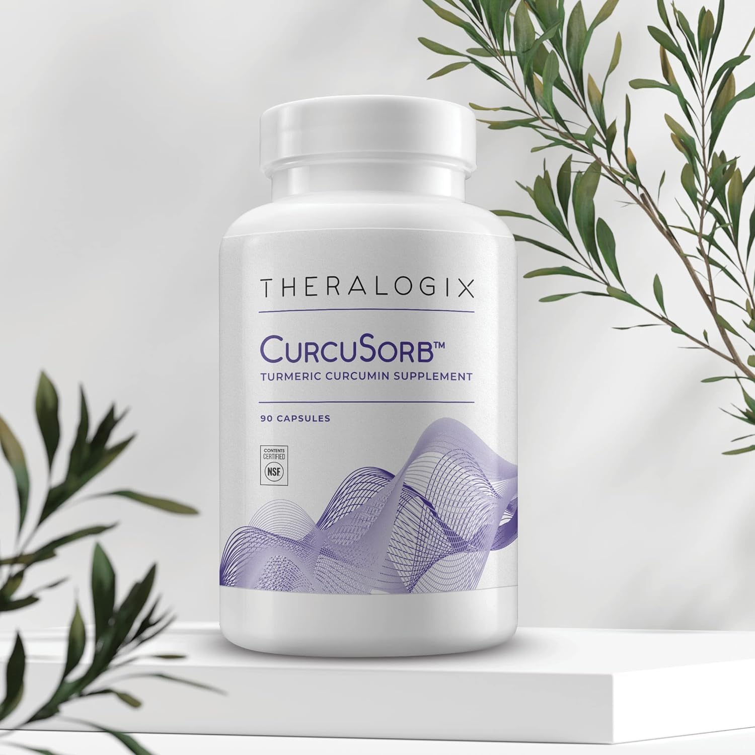 Theralogix CurcuSorb Turmeric Curcumin Supplement - 90-Day Supply - High-Absorption Turmeric Curcumin - Supports Brain, Heart, Immune & Joint Health - Aids Healthy Aging - NSF Certified - 90 Capsules