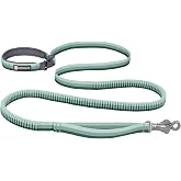 Ruffwear, Roamer Bungee Dog Leash, River Rock Green, 5.5'-7' | Swiveling Talon Clip, Padded Handle, Hands‑Free or Waist‑Worn Option, Shock-Absorbing Stretch, for Running, Biking or Hiking