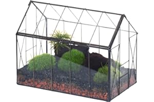 NCYP Glass Terrarium with Lid for Succulent, Cacti - Closed House Shape Vintage Small Greenhouse Box - Home Indoor Tabletop G