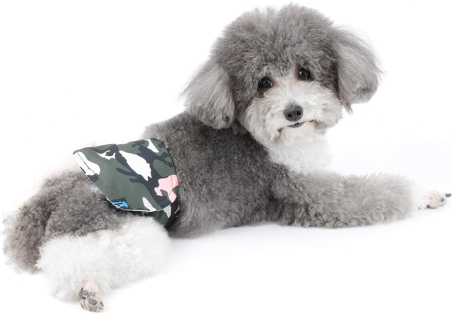 Amazon Ranphy 犬用サニタリーパンツ 再利用可能 生理用 パンツ 雄犬用 オムツカバー 迷彩柄 発情期用 防水性 漏れない ペット おむつ ドッグウェア 介護 可愛い マナーベルト 男の子用 老犬 介護 調節可能 ドッグ しつけ用品 お出かけ 散歩 失禁 尿もれ おしっこ防止 Amazon Ranphy 犬用サニタリーパンツ 再利用可能 生理用 パンツ 雄犬用 オムツカバー 迷彩柄 発情期用 防水性 漏れない ペット おむつ ドッグウェア 介護 可愛い マナーベルト 男の子用 老犬 介護 調節可能 ドッグ しつけ用品 お出かけ 散歩 失禁 尿もれ おしっこ防止