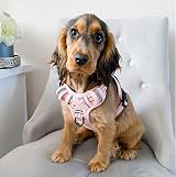 HEELE Floral Pink Dog Harness No-Pull Reflective Medium Large M view 4