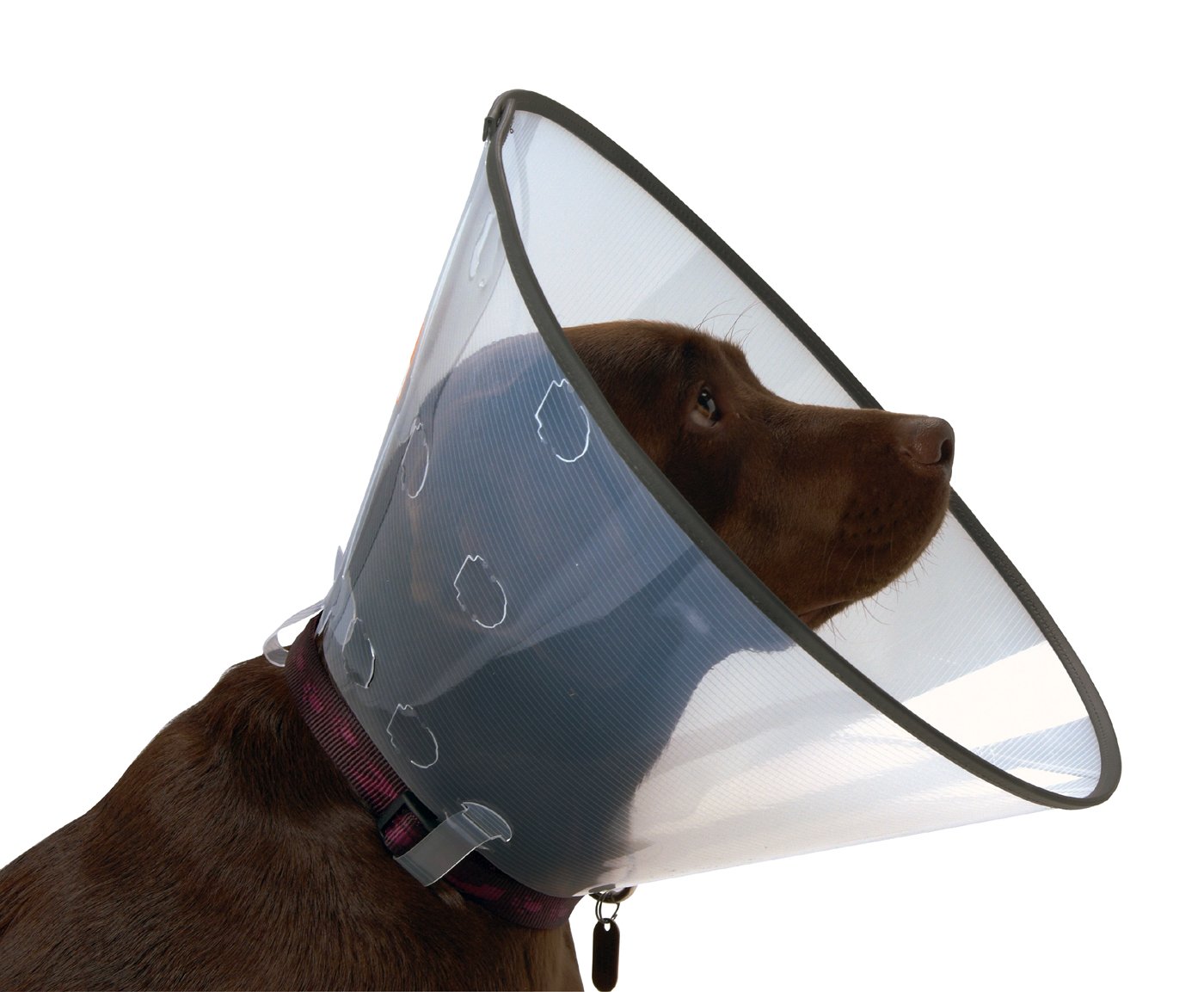 Buster Comfort Dog Collar, 7.5 cm, 5-Piece