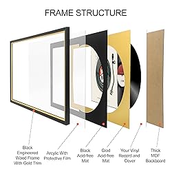 FramePro Vinyl Record Frame with 2 Double Sided