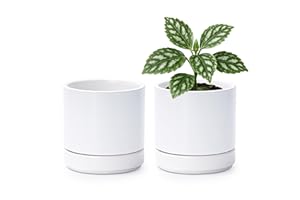 D'vine Dev Set of 2 Plants Pot, 4.7 Inch Ceramic Planter Pot for Plants with Drainage Hole and Saucer, White, 94-V-B-1