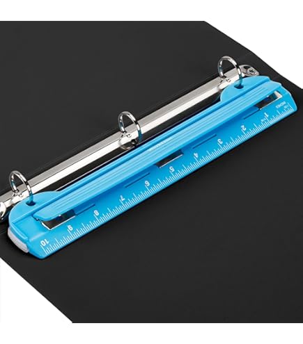 2-Hole Paper Punch, 2.75 Inch Centers, 30 Sheet Capacity, Black