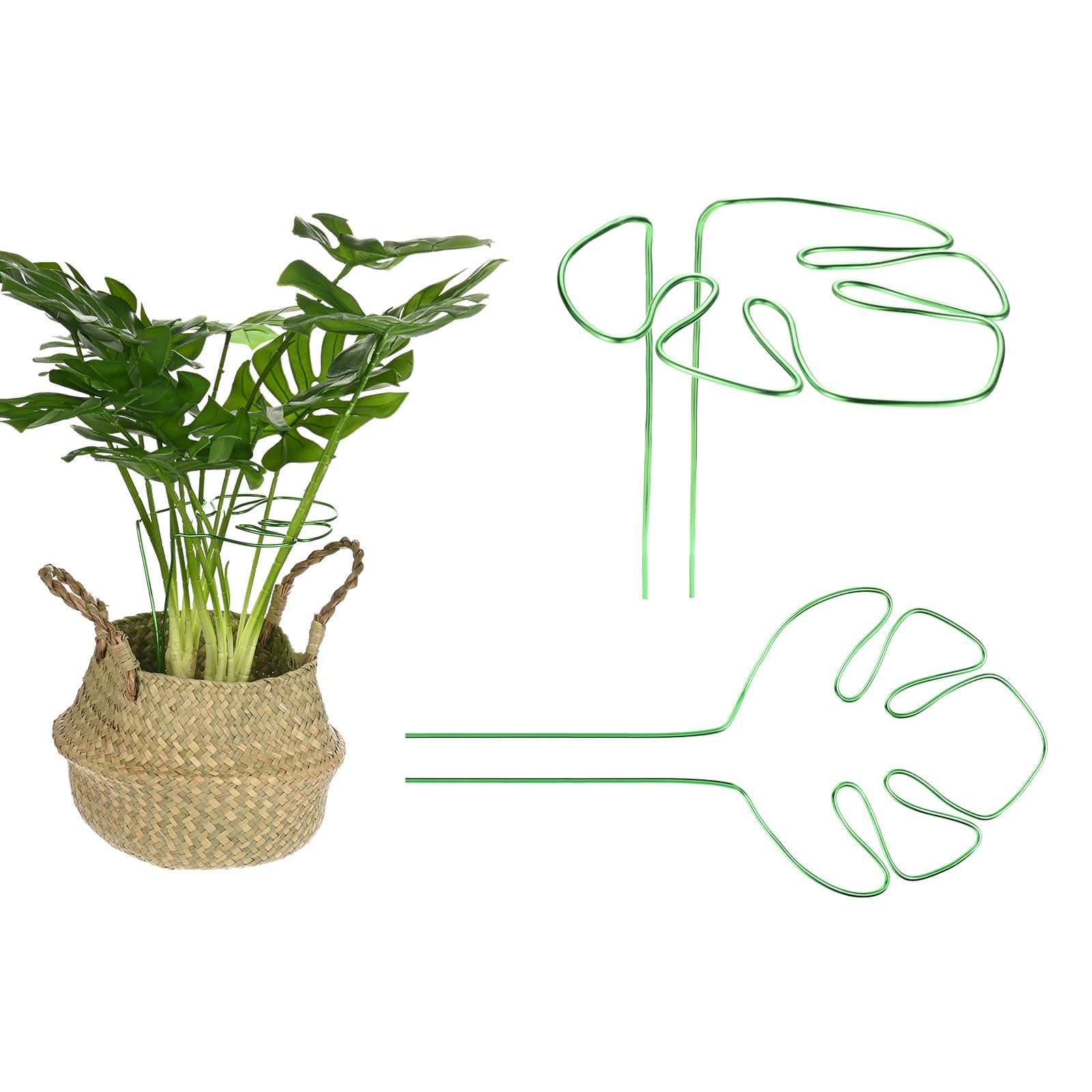 M METERXITY 2-Pack Monstera Plant Support, 11x5.9 Inch Reusable Sturdy Alloy Plant Support Stakes Unique Design for Potted Plants Flowers/Vegetables/Indoor Outdoor Climbing Plants [Green]