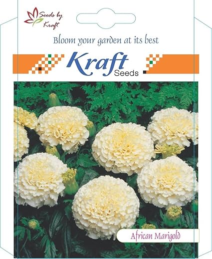 Kraft Seeds African Marigold F1 Hybrid White Vanilla Flower Seeds