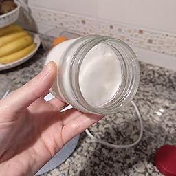 SEVERIN Yogurtera, Incl. 7 Tarros de 150 ml, Marcador de Memoria ...