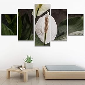 SIGNWIN 5 Panel Canvas Wall Art White Fields...