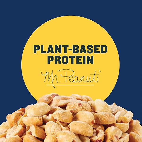 PLANTERS SALTED PEANUTS 10 CT BOX, 1 OZ PACKS, PACK OF 6