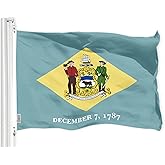 G128 Delaware DE State Flag | 3x5 Ft | LiteWeave Pro Series Printed 300D Polyester | Indoor/Outdoor, Vibrant Colors, Brass Grommets