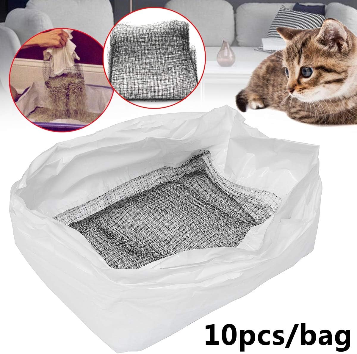 dachshund and rabbits