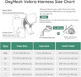 BELLA & PAL Dog Harness and Leash Set XXS Green Step-In Breathable Mesh view 2