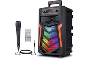 E I F E R Compact Bluetooth Speaker with Microphone - Portable Wireless Speaker, Home Karaoke Speakers - TF/AUX/Disk Player, Compatible with Smartphones and Tablets