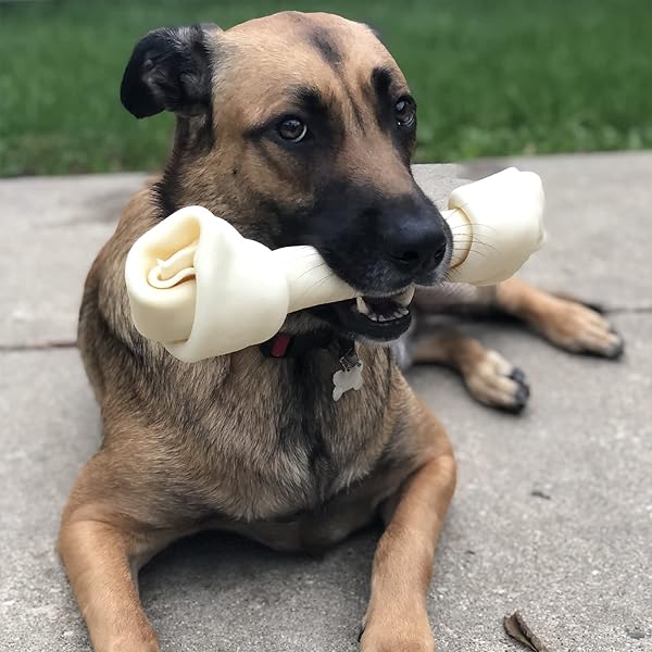 PET FACTORY AMERICAN BEEFHIDE 12″ KNOTTED BONE DOG CHEW TREAT – NATURAL FLAVOR, 1 COUNT/1 PACK