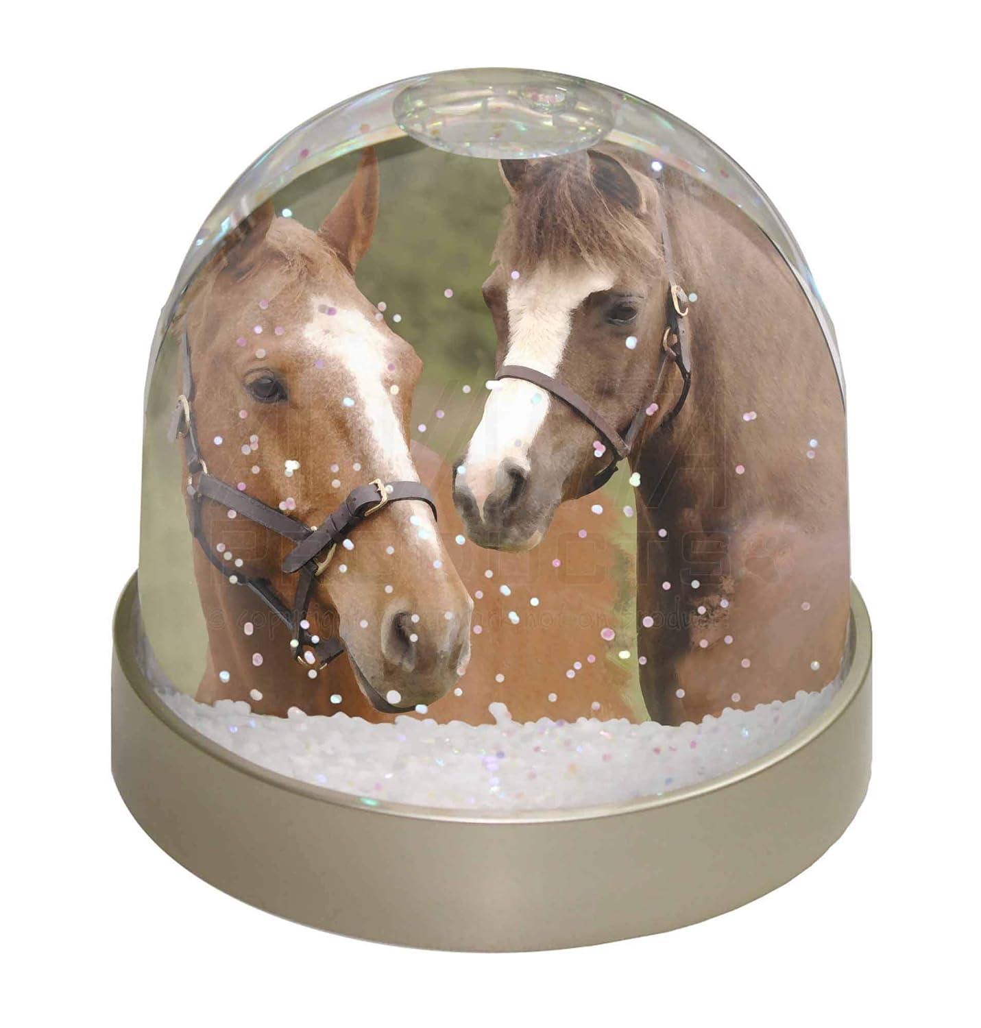 Advanta Group Horse Montage Snow Dome Globe Waterball Gift, Multi