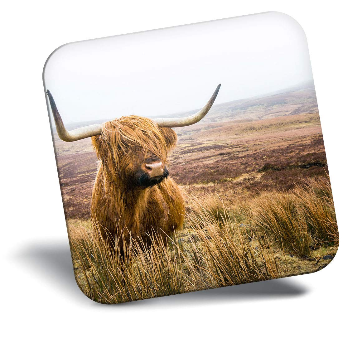 The 10 Best Refrigerator Magnet Highland Cow