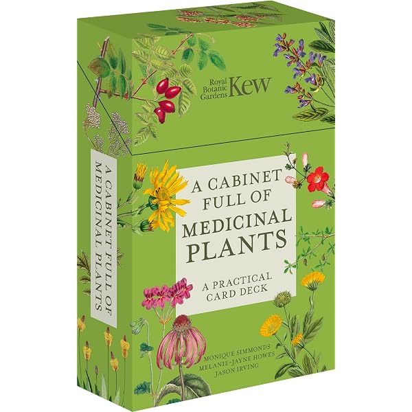 Healing Plants: 50 botanical cards illustrated by the pioneering